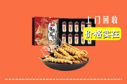 曲阜市回收冬虫夏草
